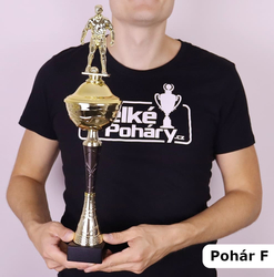 Sportovní pohár 2.místo Illinois 31 - 48 cm