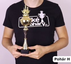 Sportovní pohár 2.místo Illinois 31 - 48 cm