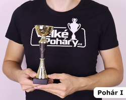 Sportovní pohár Illinois 21 - 36 cm