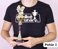 Sportovní pohár 2.místo Illinois 31 - 48 cm