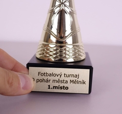 Šipkařský pohár Kalifornie 31 - 48 cm