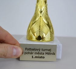 Sportovní pohár 2. místo Ankara 31 - 48 cm