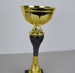 Pohár karate Vilnius 34 - 51 cm