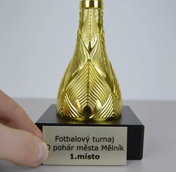 Pohár karate Vilnius 34 - 51 cm