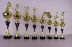 Pohár karate Vilnius 34 - 51 cm