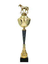 Jezdecký pohár Anaheim 39 - 52 cm