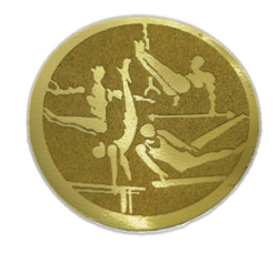 Emblém Gymnastika Ø25 mm Emblém Gymnastika Ø25 mm