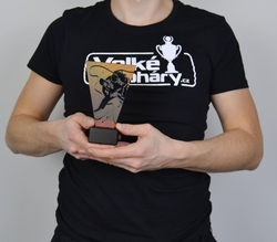 Skleněná Judistická trofej 15 cm