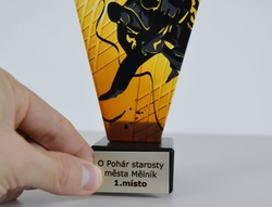 Skleněná Judistická trofej 15 cm