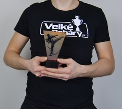 Skleněná trofej karate 15 cm