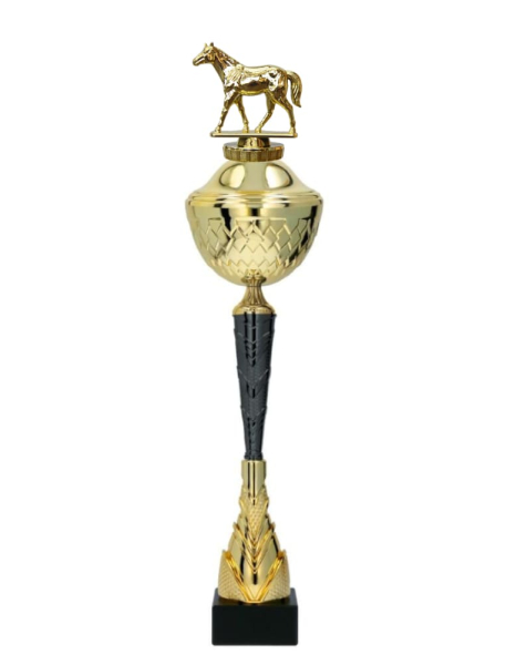 Jezdecký pohár Anaheim 39 - 52 cm