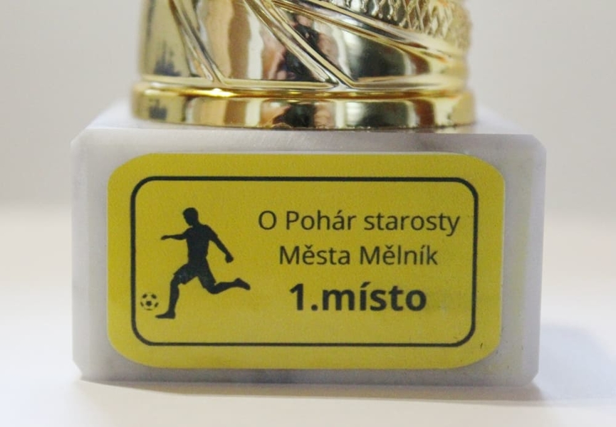 Barevný samolepkový štítek k poháru Regina - kopie
