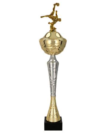Fotbalový pohár II Palawan 36 - 53 cm