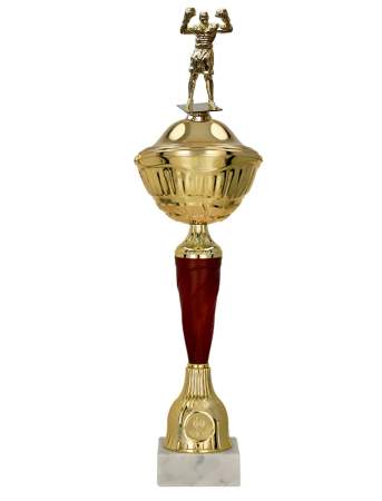 Boxerský pohár Maribor 39 - 55 cm