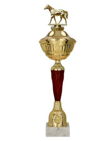 Jezdecký pohár Maribor 31 - 47 cm