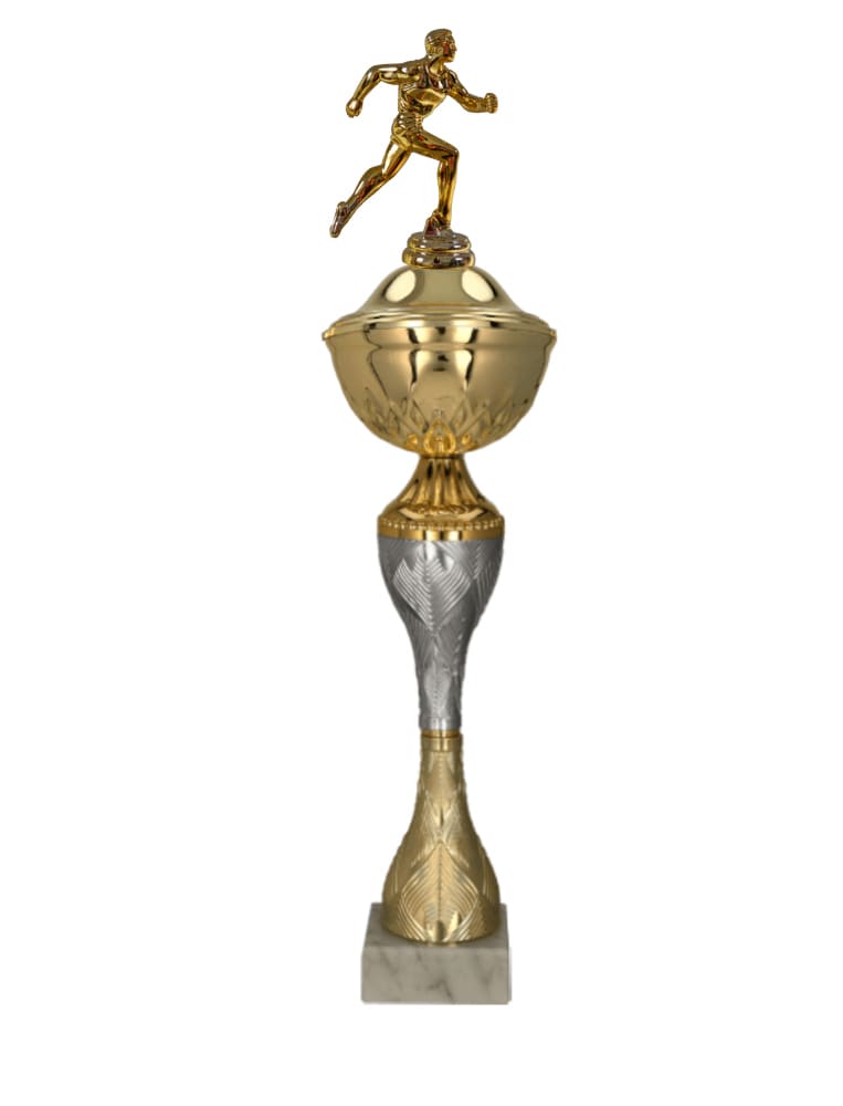 Běžecký pohár Ankara