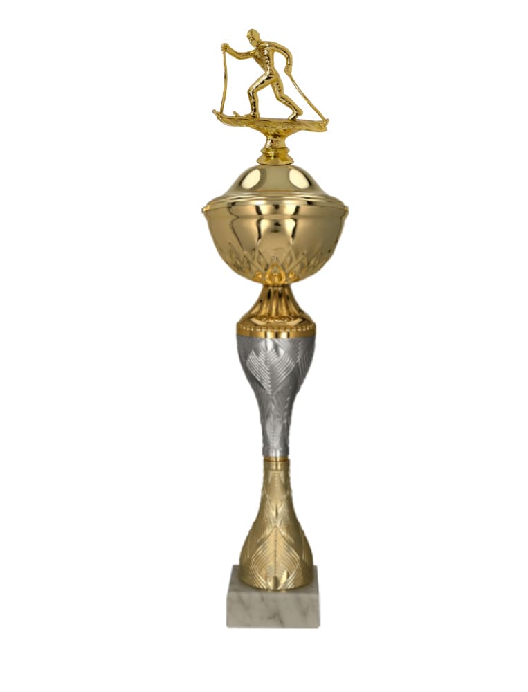 Běžkařský pohár Ankara