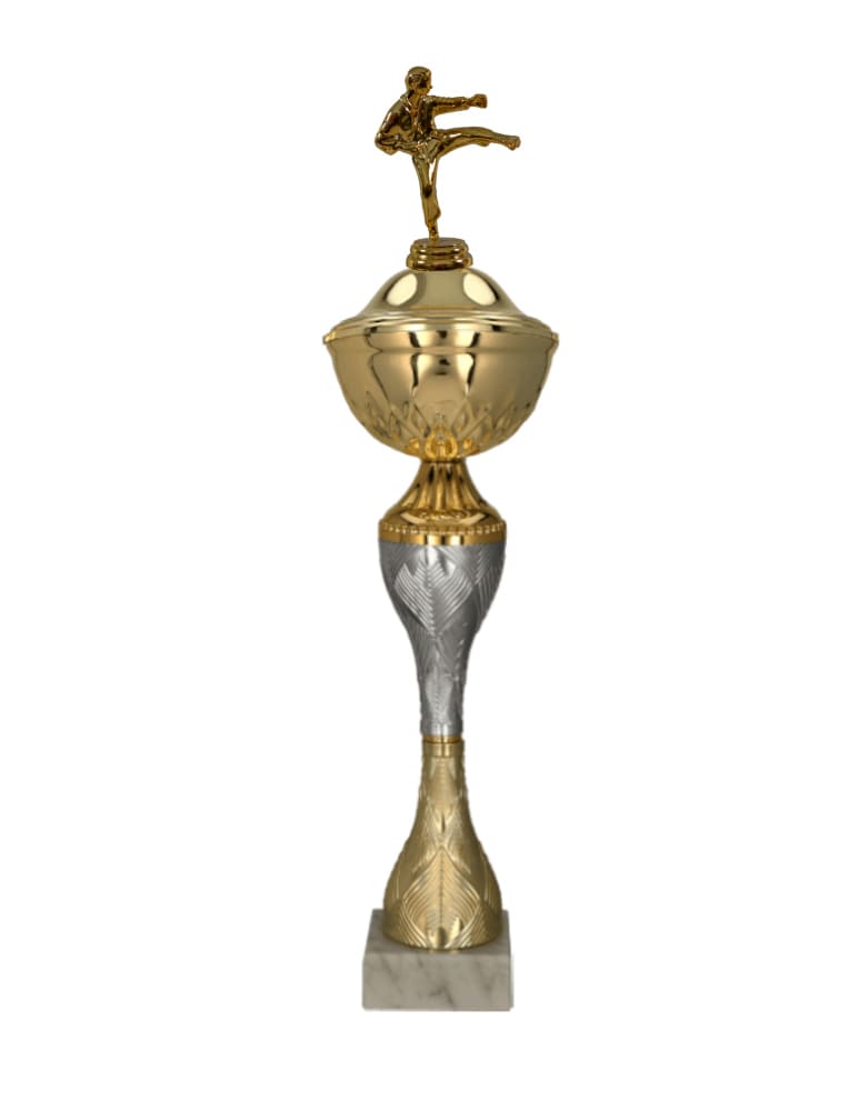 Karatistický pohár Ankara