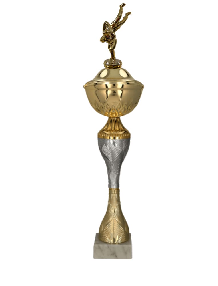 Zápasnický pohár Ankara