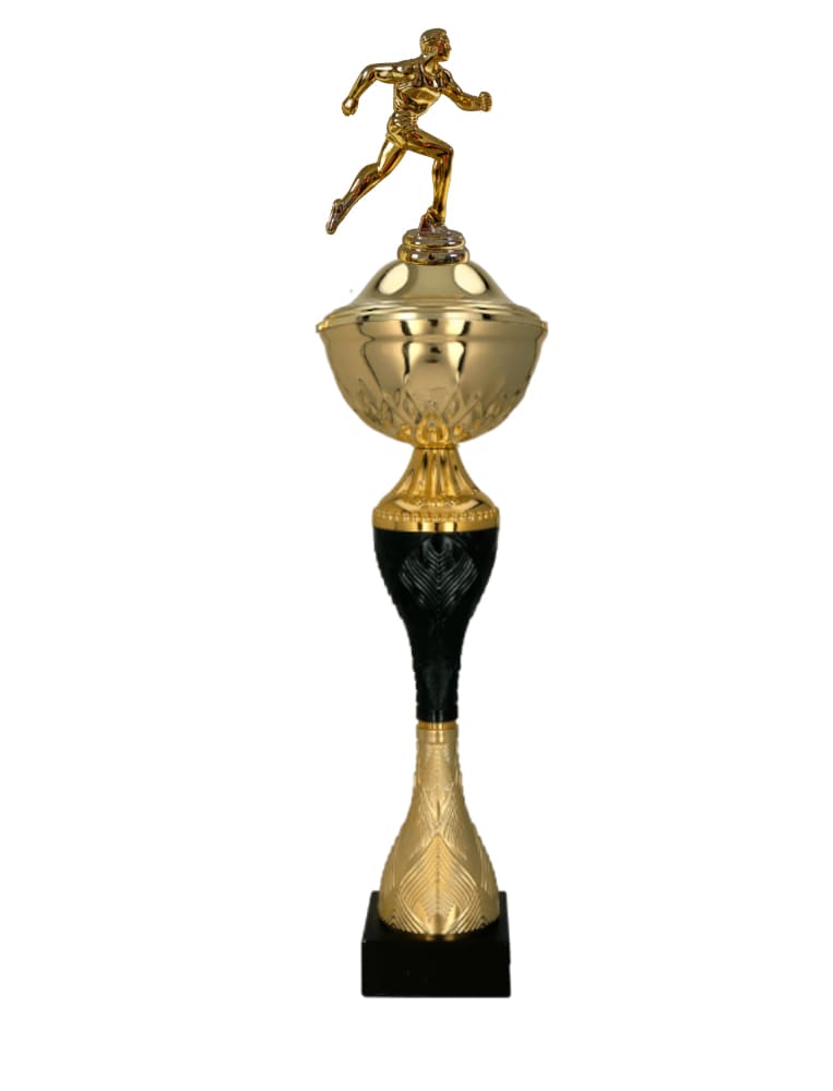 Běžecký pohár Vilnius