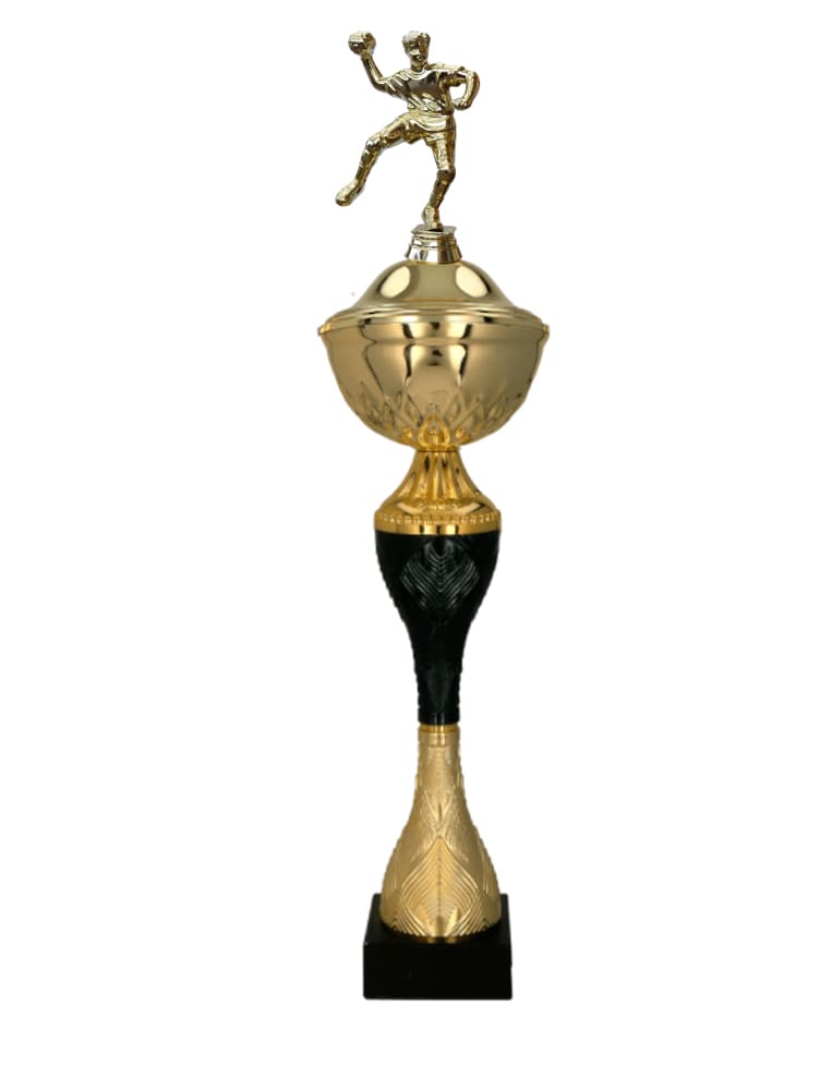 Házenkářský pohár Vilnius