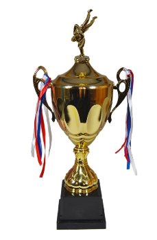 Zápasnický pohár Graz