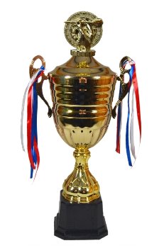 Šipkařský pohár Mannheim
