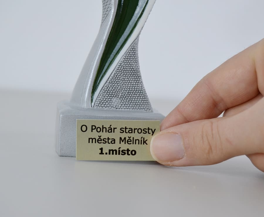 Fotbalová Resinová Soška Rukavic 17 cm