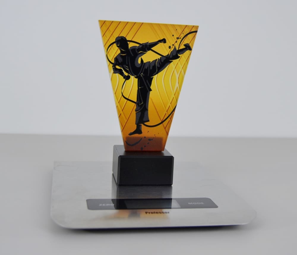 Skleněná trofej karate 15 cm