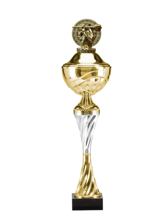 Šipkařský pohár Wichita 32 - 49 cm