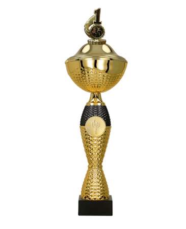 Sportovní pohár 1.místo Nimes 29 - 36 cm