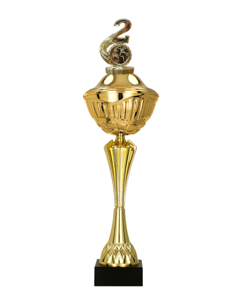 Sportovní pohár 2.místo Arras 40 - 53 cm