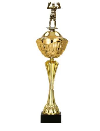 Boxerský pohár Arras 48 - 61 cm