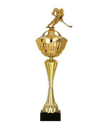 Hokejový pohár Arras 44 - 57 cm 