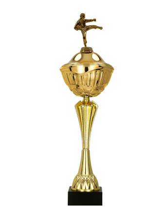 Pohár karate Arras 43 - 56 cm 