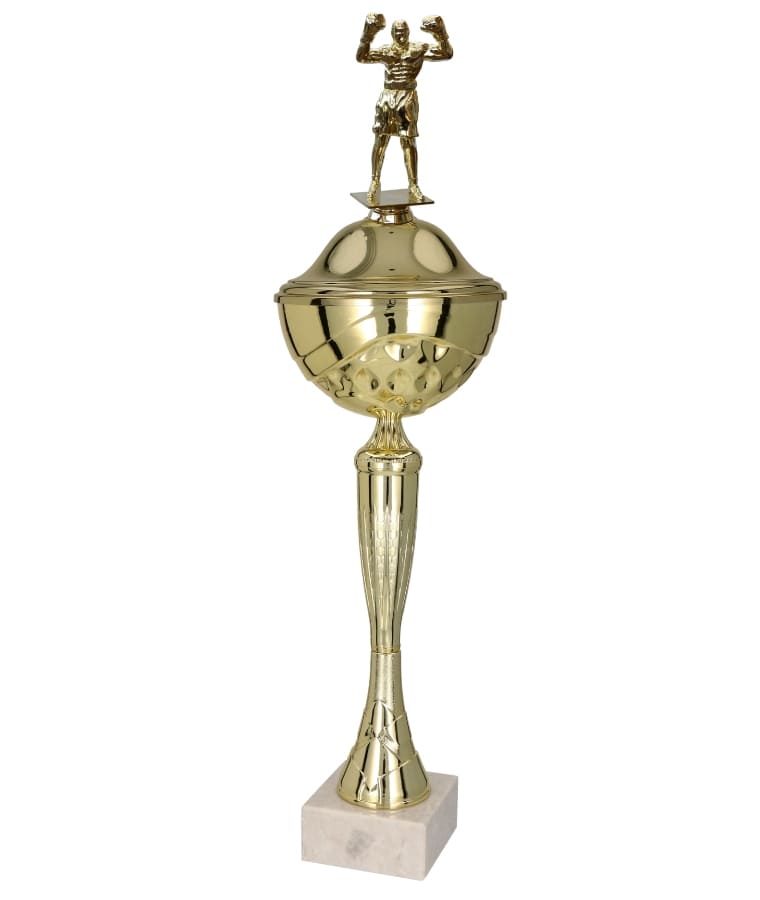 Boxerský pohár Brandon 36 - 57 cm