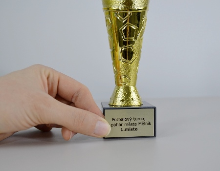 Sportovní pohár Arkansas 18 cm