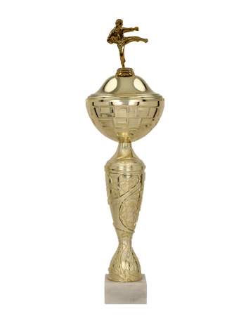 Pohár karate Jakarta 31 - 52 cm