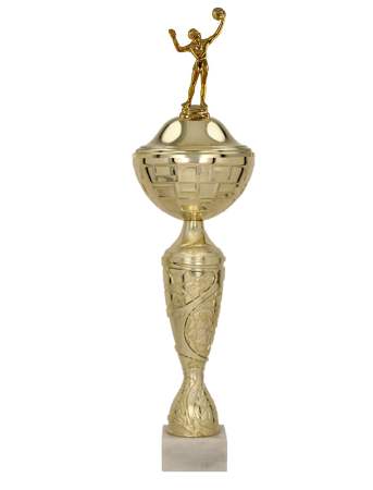 Volejbalový pohár Jakarta 33 - 54 cm