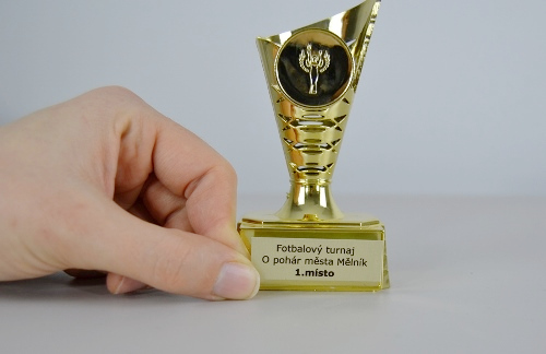 Sportovní pohár Iowa 11 cm