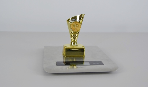 Sportovní pohár Iowa 11 cm