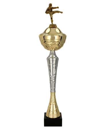 Pohár Karate Palawan 34 - 51 cm