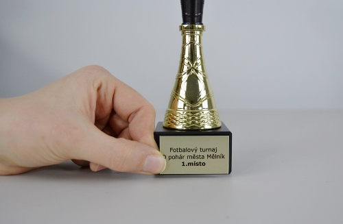 Sportovní pohár Illinois