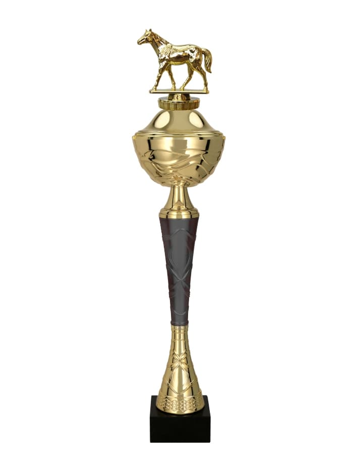 Jezdecký pohár Illinois 31 - 48 cm