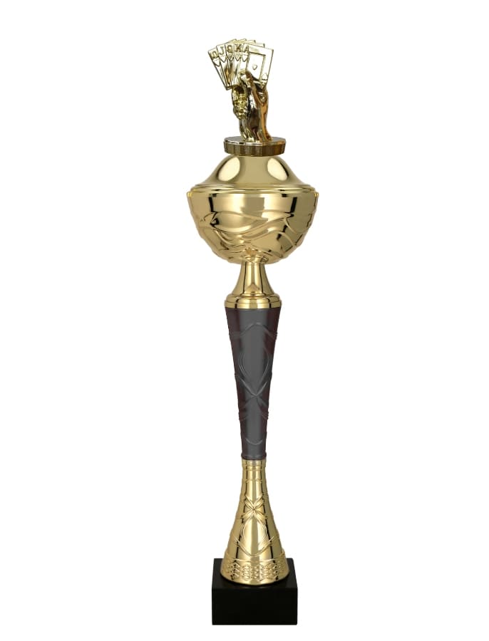 Karetní pohár Illinois 31 - 48 cm