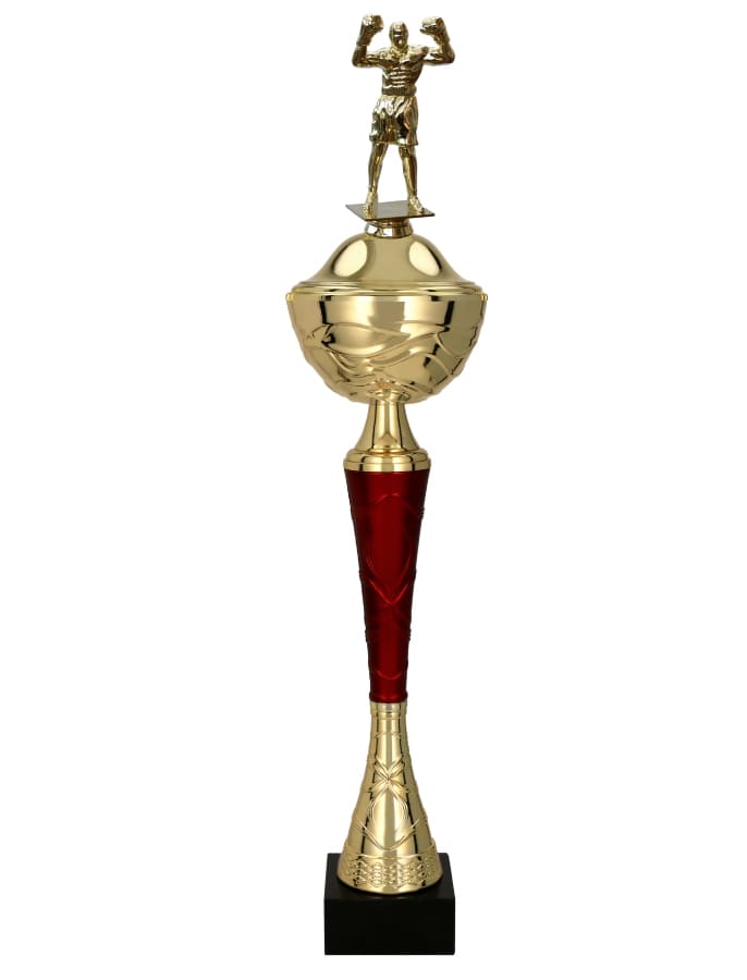 Boxerský pohár Kalifornie 39 - 56 cm