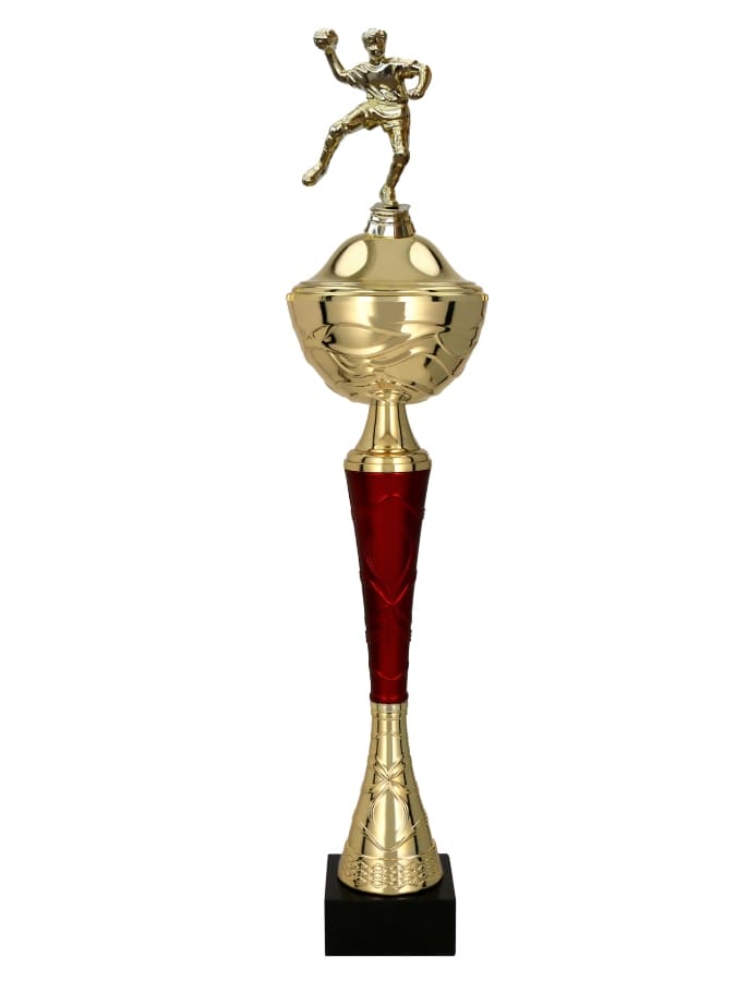 Házenkářský pohár Kalifornie 36 - 53 cm