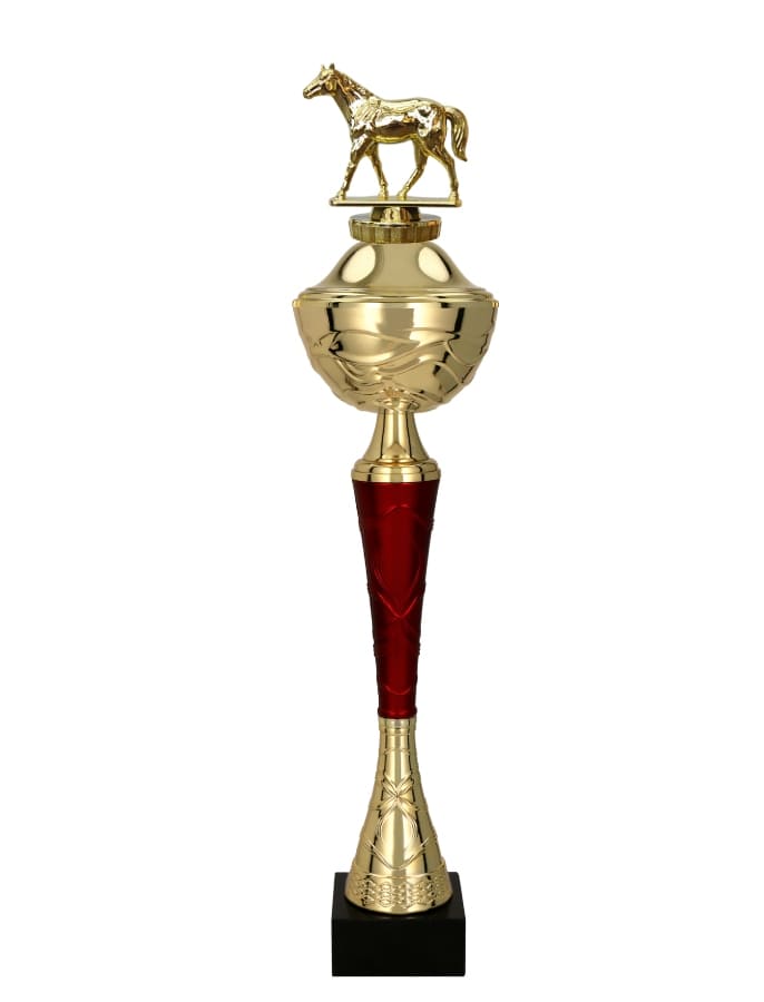 Jezdecký pohár Kalifornie 31 - 48 cm