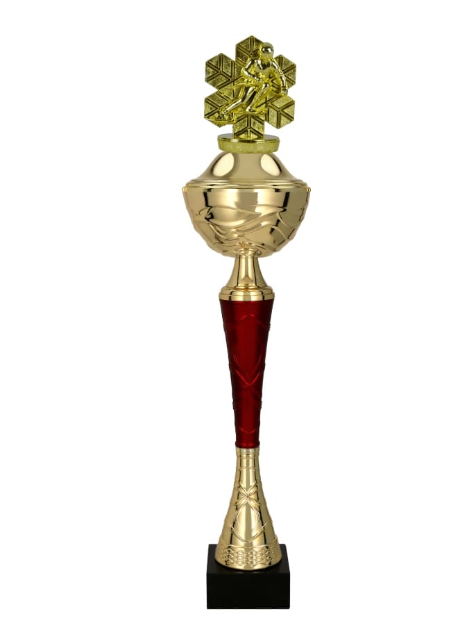 Lyžařský pohár Kalifornie 31 - 48 cm