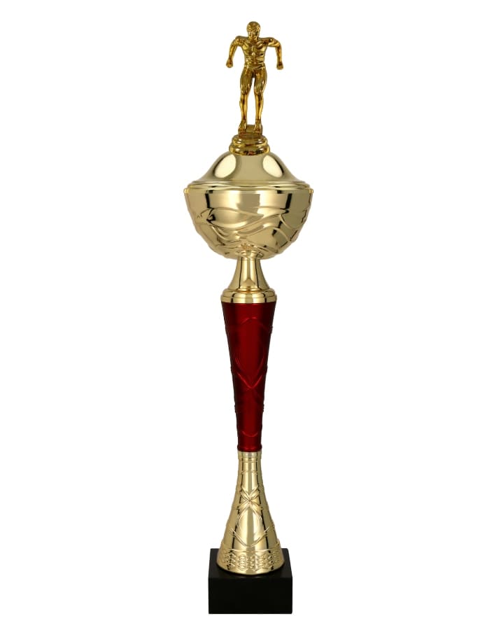 Plavecký pohár Kalifornie 34 - 51 cm
